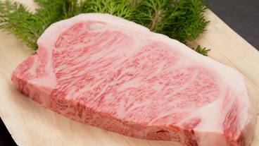 食事・飲み物 / 19