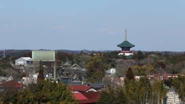 施設からの眺望 / 19