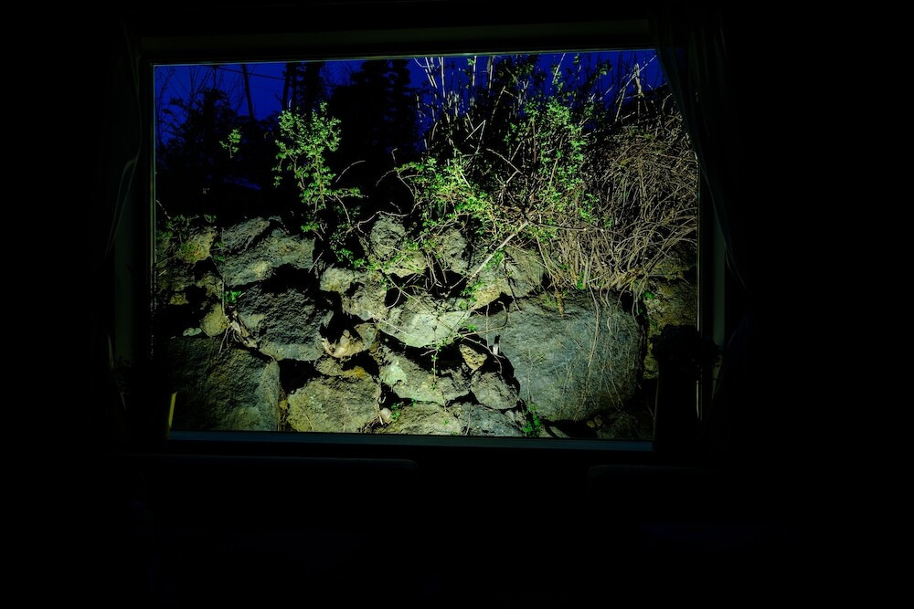 ガーデン ビュー