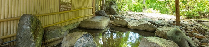 【千葉】房総半島の山の中での～んびり。ひとり旅におすすめの温泉旅館6選