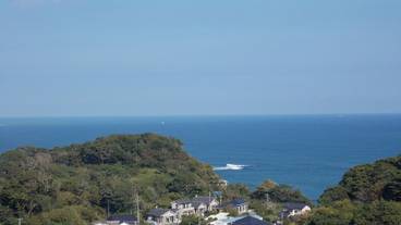 ビーチ / オーシャン ビュー / 12