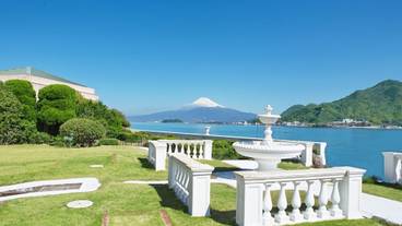 テラス / パティオ / 6