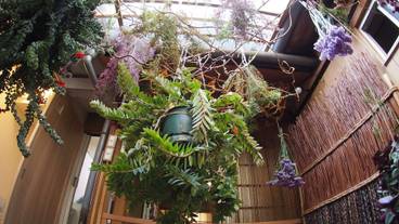 内装の詳細 / 13