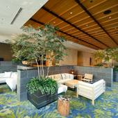 都シティ 大阪本町(大阪府 ビジネスホテル) / 2