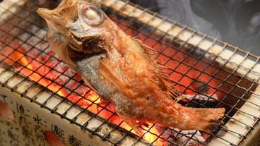 食事・飲み物 / 15