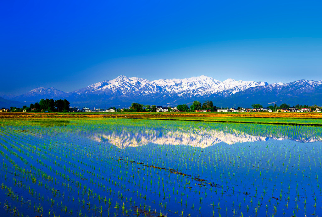 食も絶景も温泉も♩豊かな自然に恵まれた「新潟県」4273417