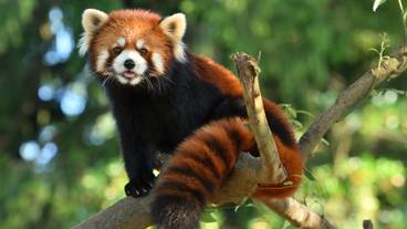 八木山動物公園 / 4