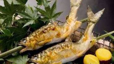 食事・飲み物 / 15