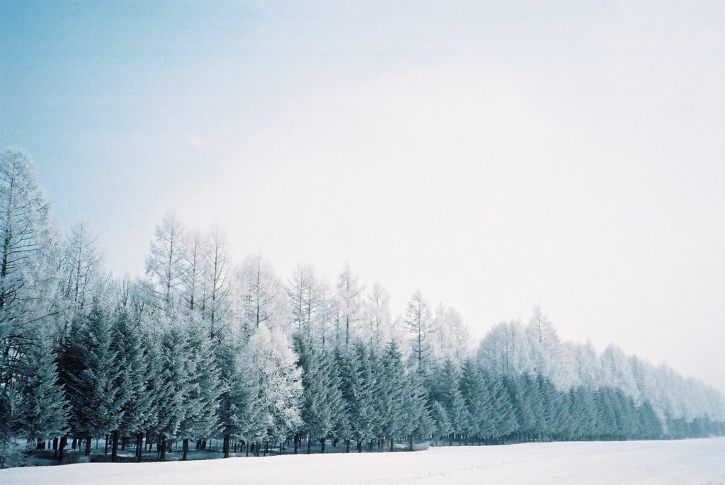 朝から幸せ気分♩北海道旅行は、美味しい朝食が食べられるホテルに泊まろう3917217