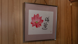 Shiki Homes | HIKARI 光