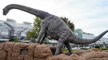 シティ ビュー / 27