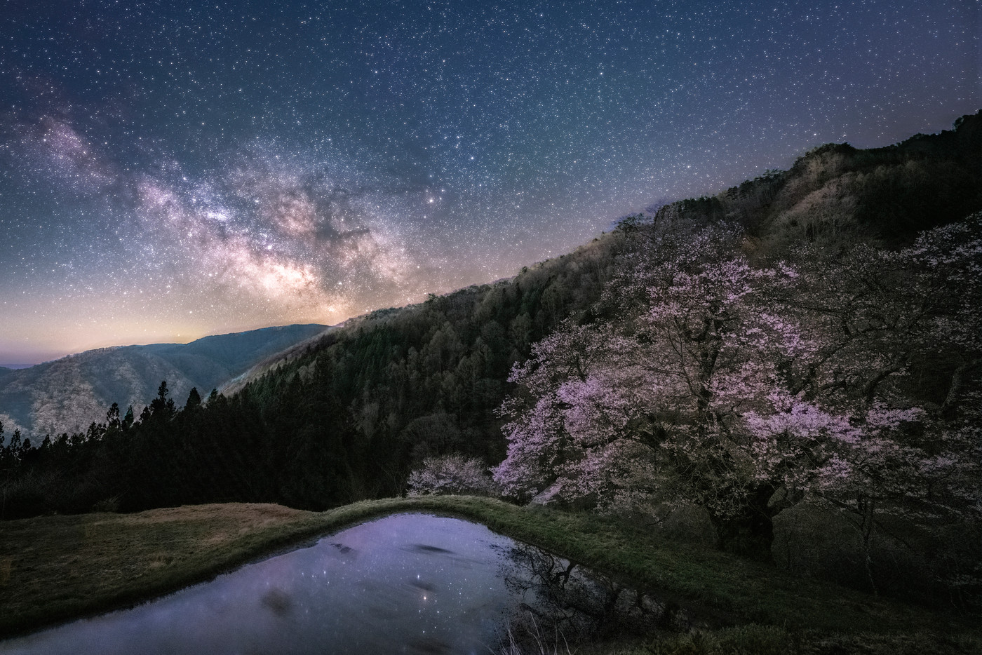 長野県阿智村駒つなぎの桜と天の川