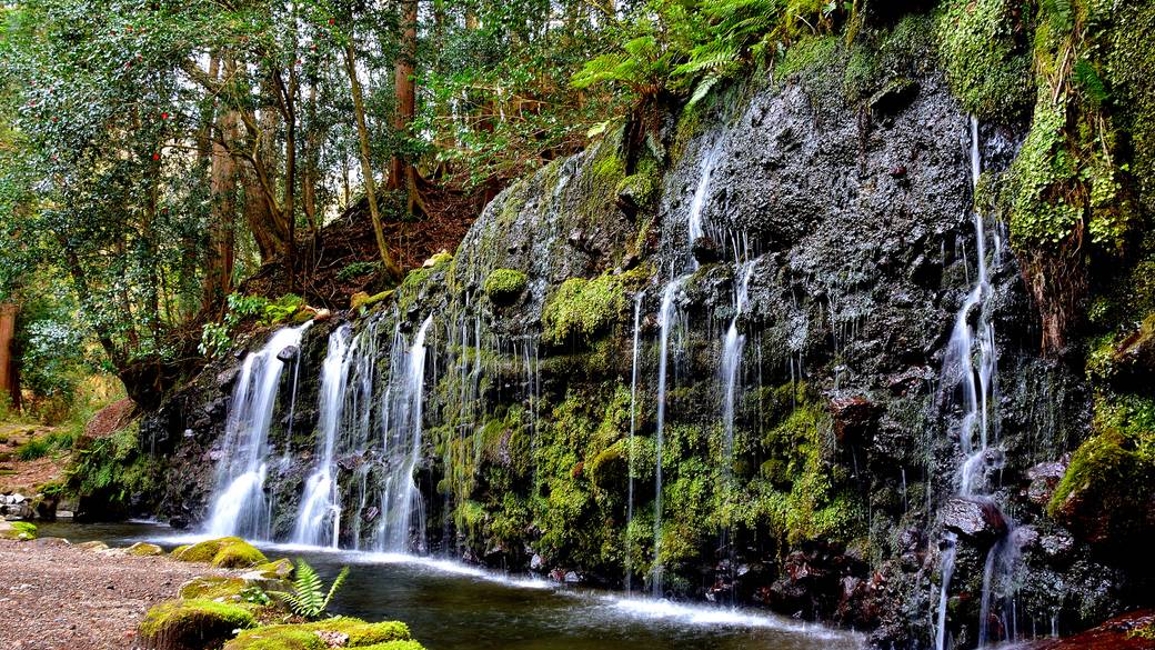 深緑に包まれた
箱根・小涌谷へ / 1