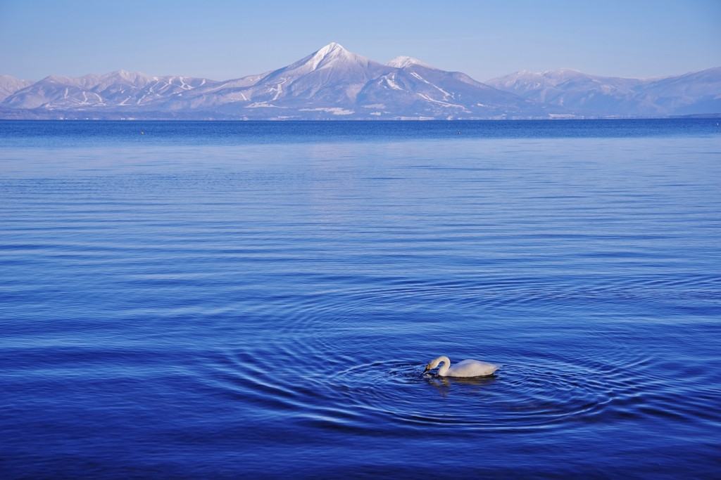 自然も歴史もテーマパークも！楽しみ方いろいろな福島♪4009480