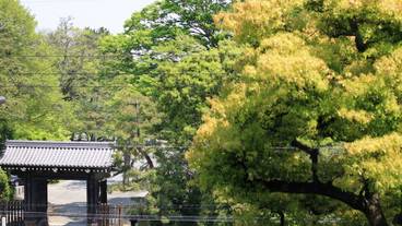 施設の敷地 / 12