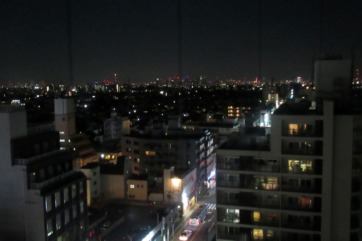 新宿の高層ビル街、東京タワー、東京スカイツリー一望でした