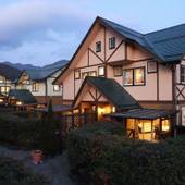 貸別荘 レイクヴィラ 河口湖(山梨県 コテージ・ロッジ・一棟貸) / 3