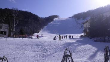 スノー スポーツとスキー / 2