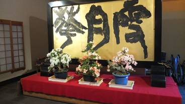 内装の詳細 / 14