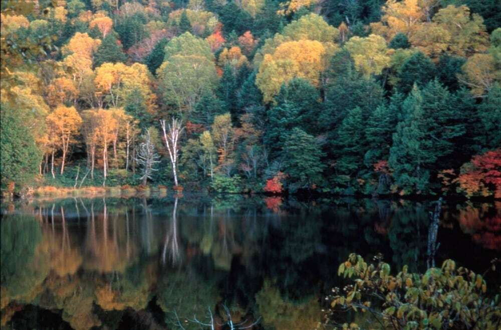 施設からの眺望