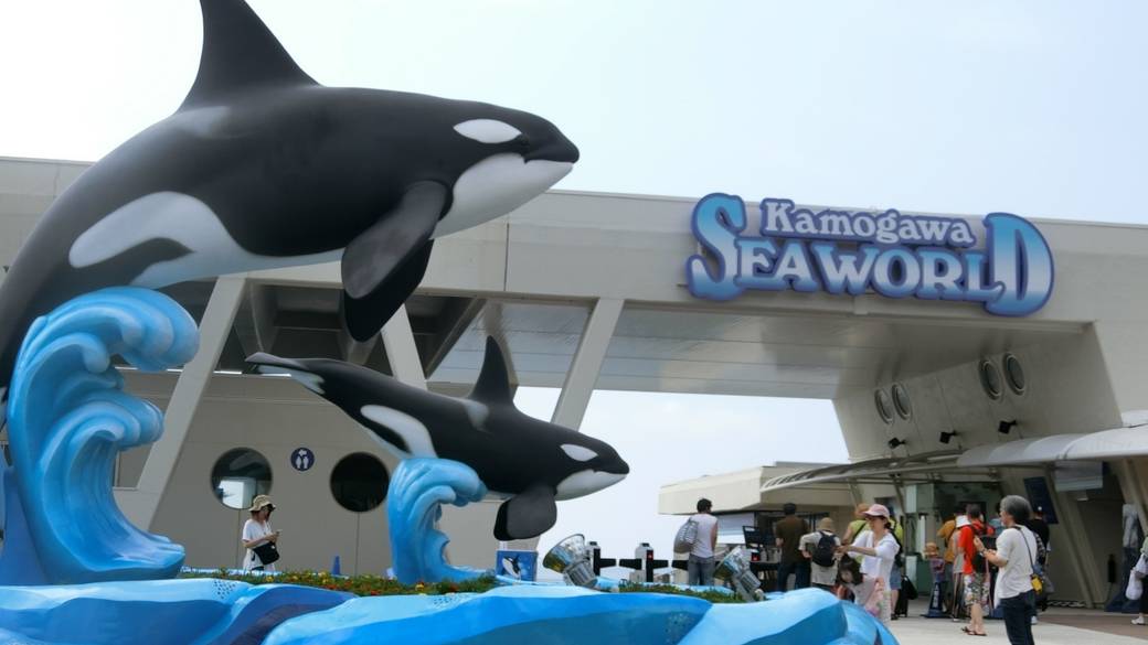 鴨川シーワールド　エントランス / 1