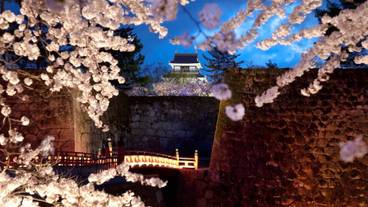 観光スポット / 1