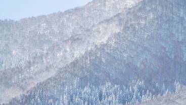 マウンテン ビュー / 29