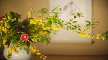 館内のお花 / 2