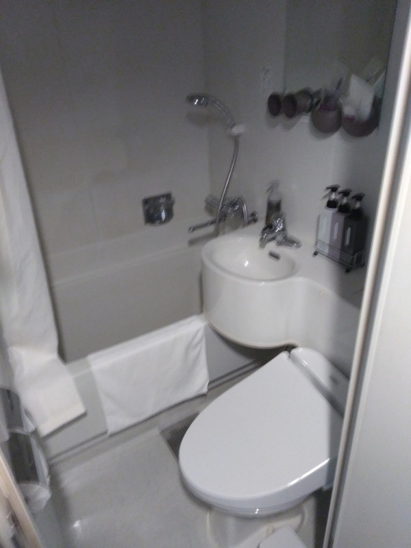 少し手狭な感じがするビジネスホテルのようなユニットタイプです