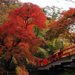 紅葉に酔いしれる温泉旅！関東近郊のおすすめ温泉スポット10選