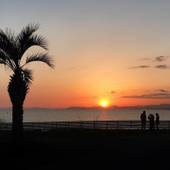 GRAN CAMPING パームガーデン舞洲（大阪府 リゾートホテル） / 5