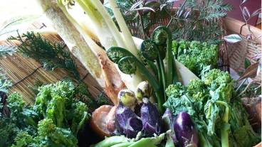 レストラン / 16