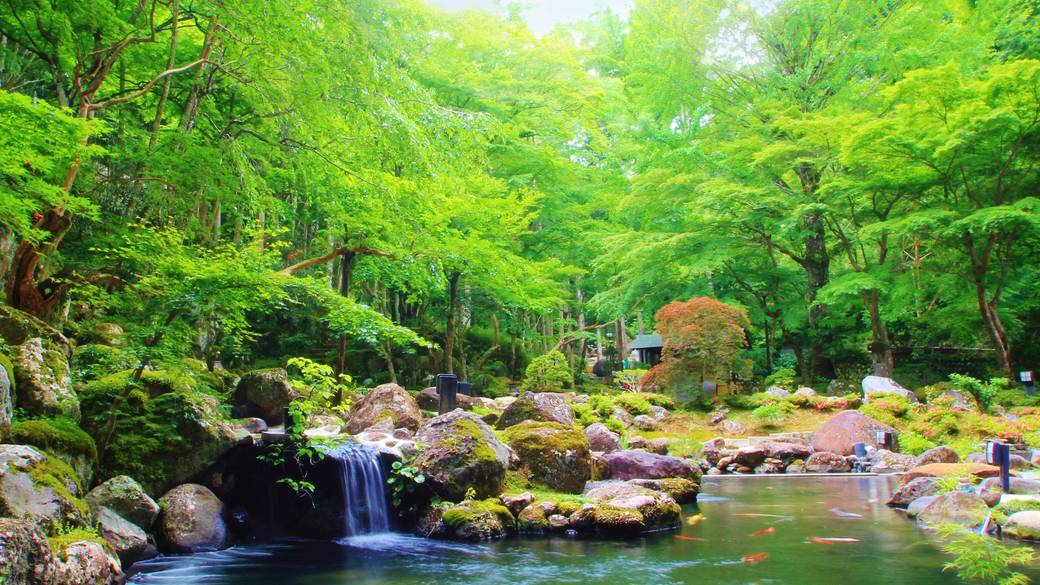 桂谷八十八ヶ所巡り
石の庭を散策 / 2