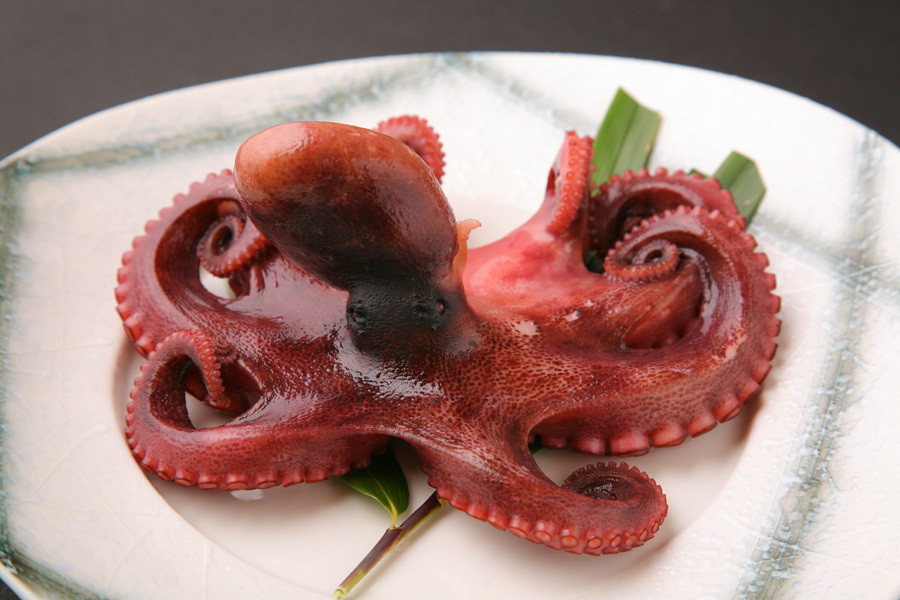 「島宿 うみどり」 料理 4230189 日間賀島名産、タコのまるゆで