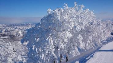 スノー スポーツとスキー / 5