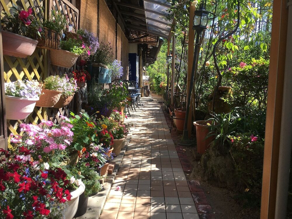 テラス / パティオ