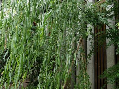 旅館 こうろ / 4