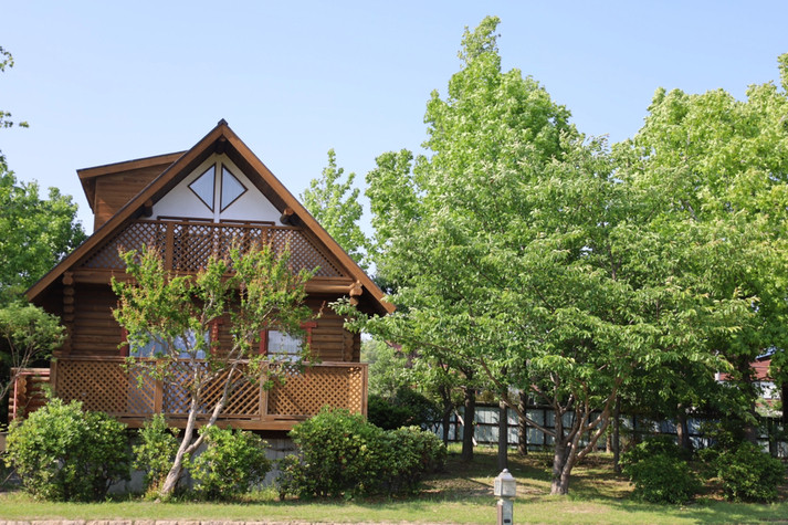 「The Day Osaka」 その他 175733764 