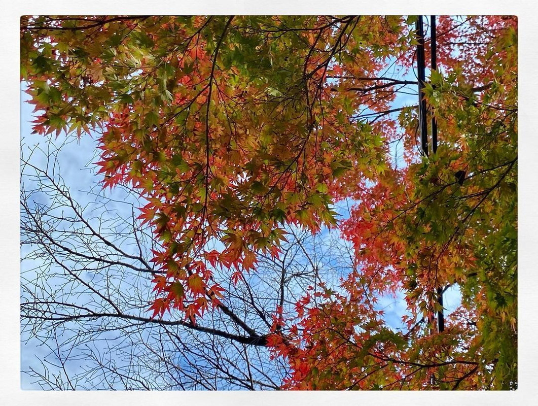 izu_japantravelさんの写真 / 4
