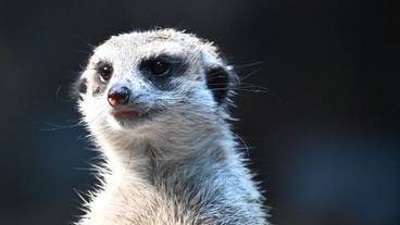 観光スポット / 14