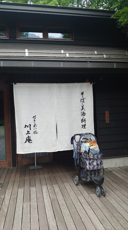 pinky.yuki_go.kam2さんの写真 / 5