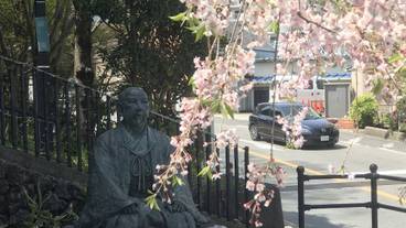 観光スポット / 9