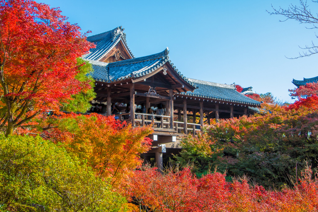 自然と寺院が織り成す圧巻の景色を楽しめる「東福寺」2643851