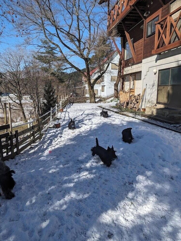 ペット用設備・サービス