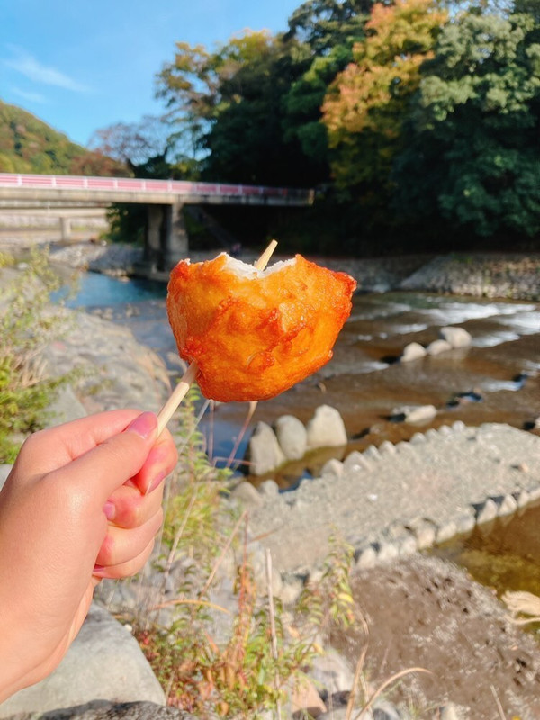 ftnuiinuさんの写真 / 1