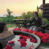 屋久島 コテージ森のフェアリー（鹿児島県 コテージ・ロッジ・一棟貸） / 2