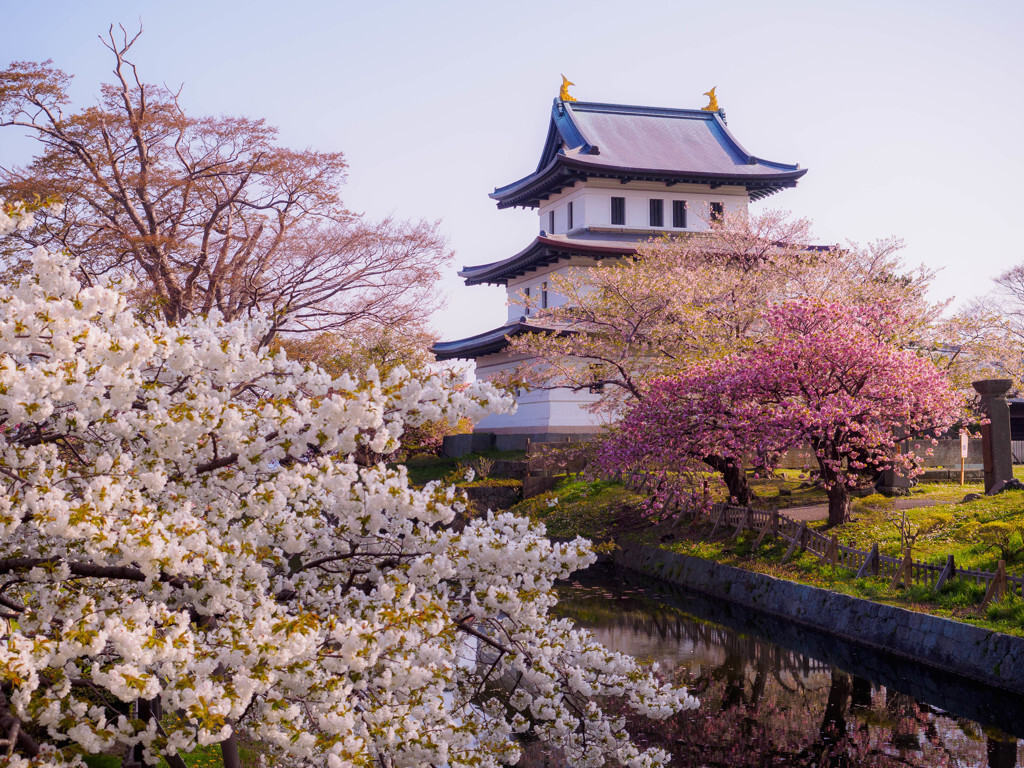 2. 北海道最南端のお城「松前城」863324