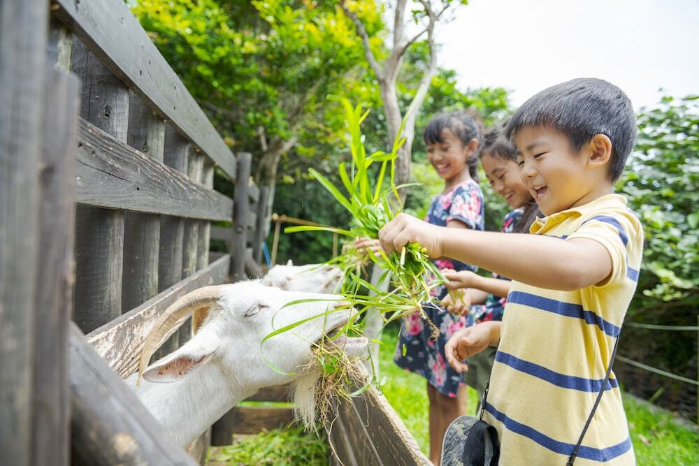 子供向けアクティビティ