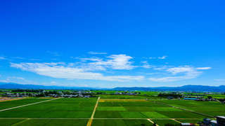 煌粋殿 和室 禁煙