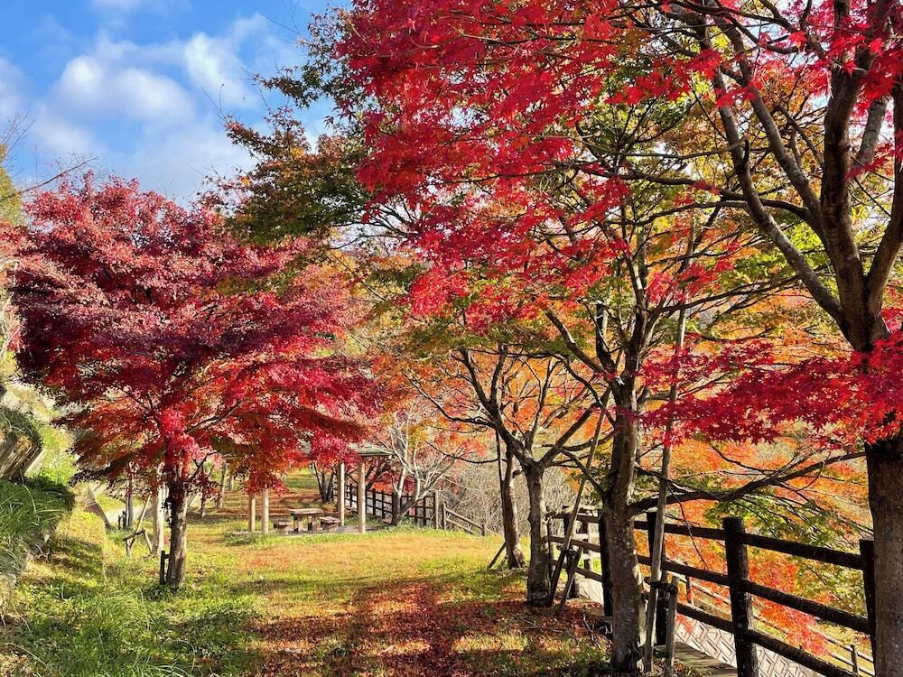 施設からの眺望